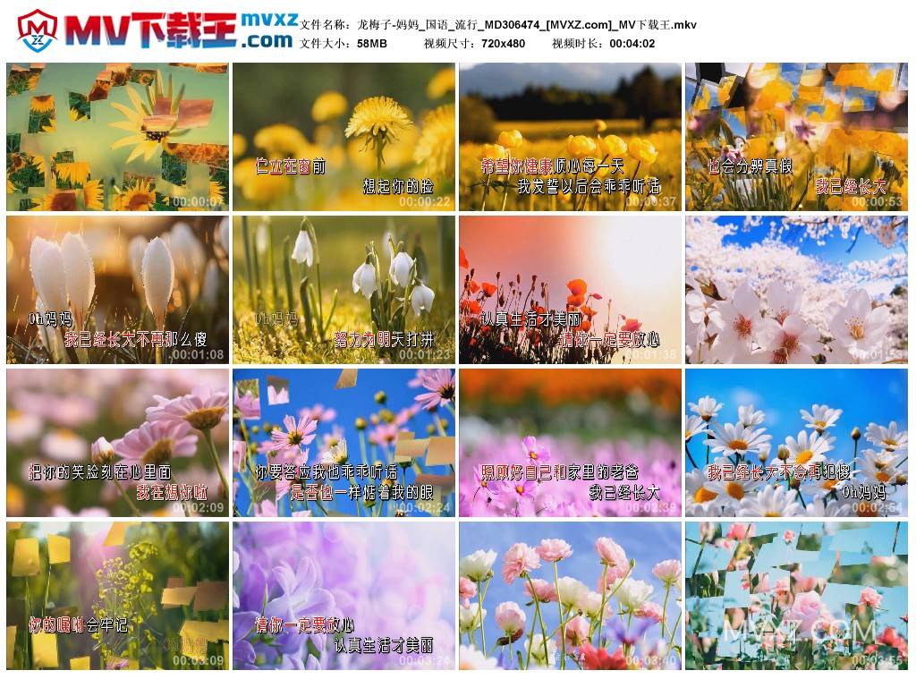 龙梅子-妈妈_国语_流行_MD306474